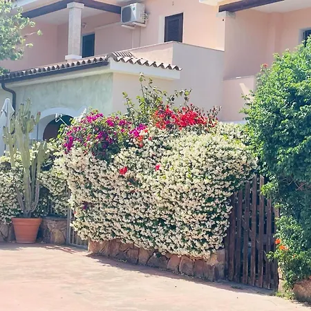 Le Querce Appartement Vaccileddi